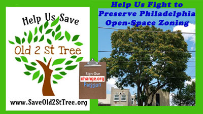 https://www.change.org/p/councilman-mark-squilla-save-old-2-st-tree