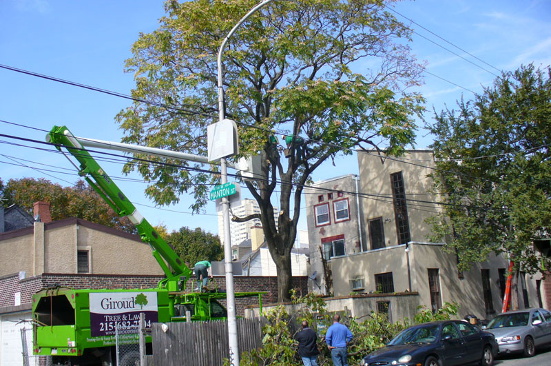 tree trimming with bucket truck