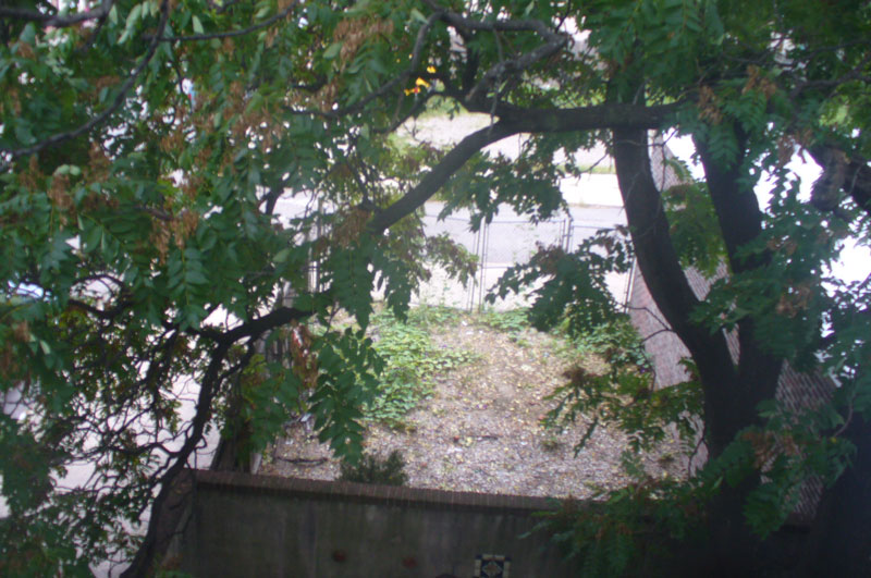 tree view 200909