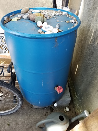 rain barrel