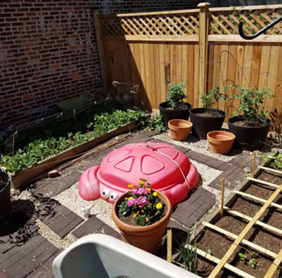 Small Lot Garden