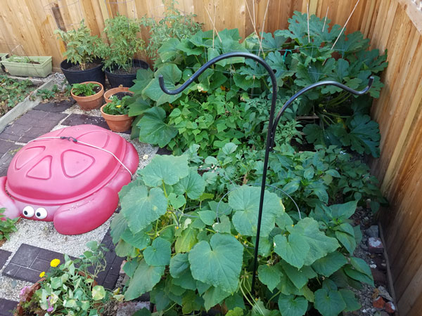 Gardens on Philadelphia Vacant Lots