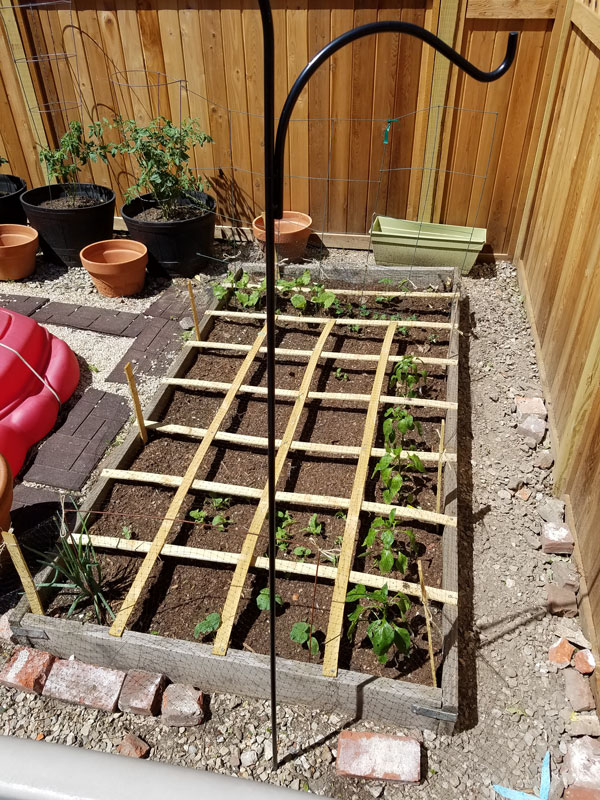 Square foot garden