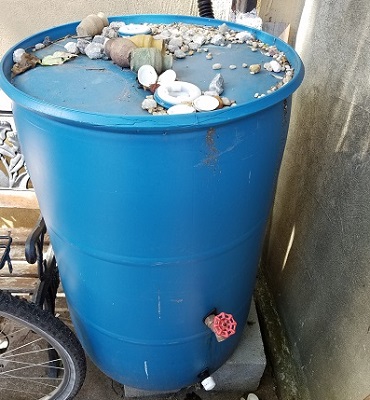 Philly Water Dept and Rain Barrels for your small Garden