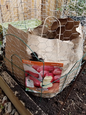 Urban Potato Tower Garden